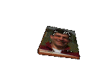 2.gif (27490 bytes)